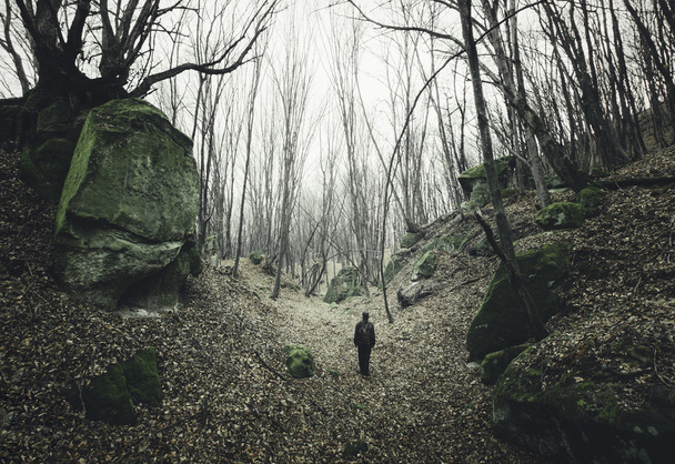 ihminen pimeällä metsäpolulla
 - Valokuva, kuva