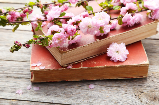 Spring flowering branch with old books - 写真・画像