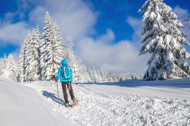 mujer con chaqueta de amanecer en las montañas de invierno
 - Foto, Imagen