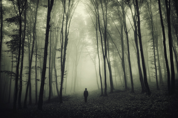 man silhouette in spooky forest - Foto, Imagem