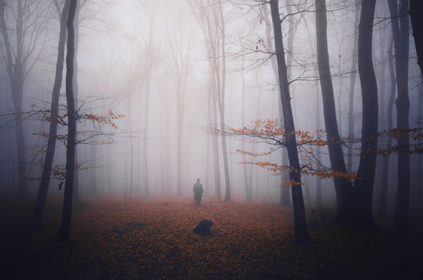 silueta de hombre en bosque espeluznante
 - Foto, Imagen