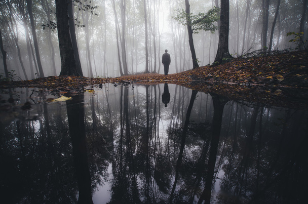 озеро в лісі з відображенням людини
 - Фото, зображення