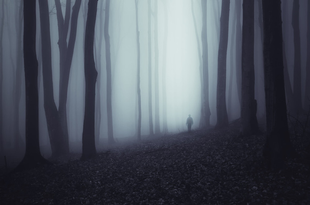 man silhouet in spooky bos - Foto, afbeelding