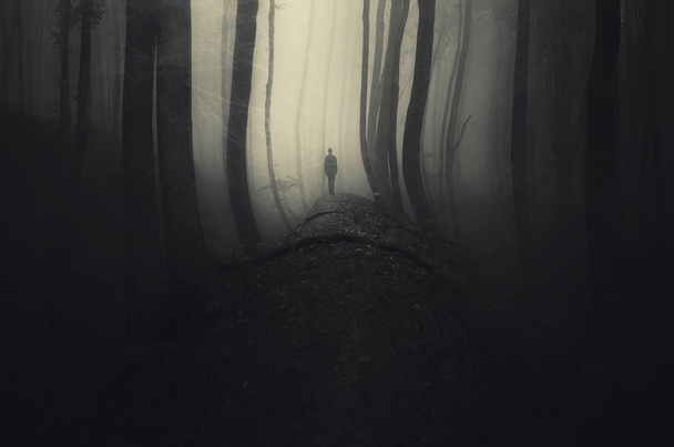 Männersilhouette im gruseligen Wald - Foto, Bild