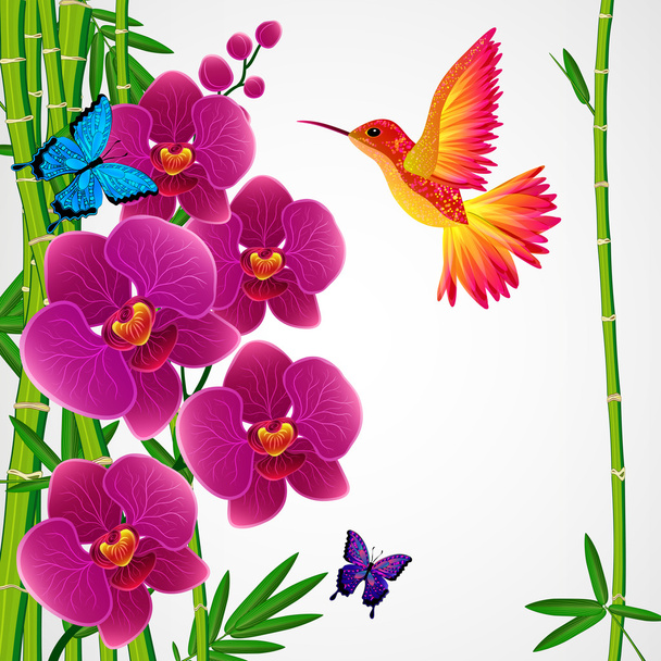Floral design background. Orchid flowers with bird, butterflies. - Vector, afbeelding
