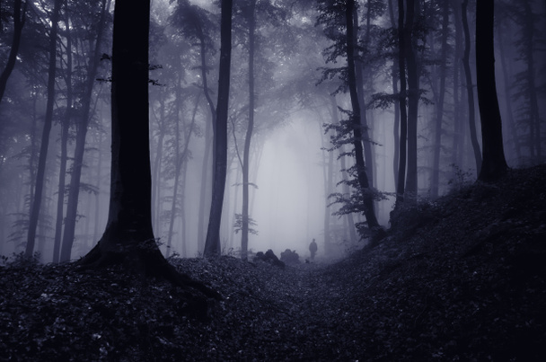 mies siluetti pelottava metsä
 - Valokuva, kuva