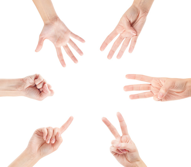 Підрахунок людських рук (0 до 5
) - Фото, зображення