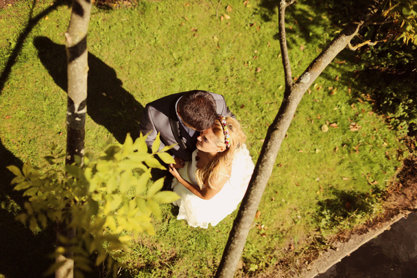 Bride and groom lying on grass - Photo, Image