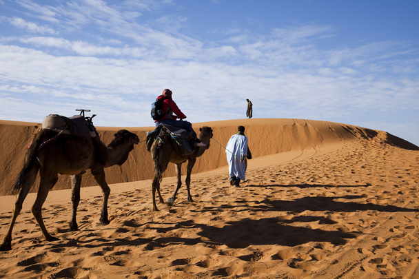 Desert sand - Photo, Image