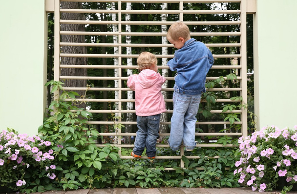 Children climbed up to the lattice in the park - Fotoğraf, Görsel