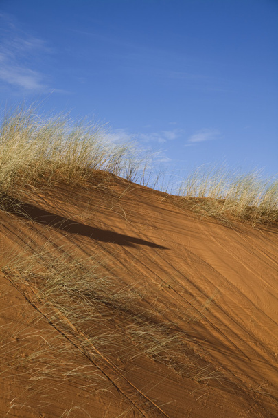 Homokképek a sivatagban - Fotó, kép