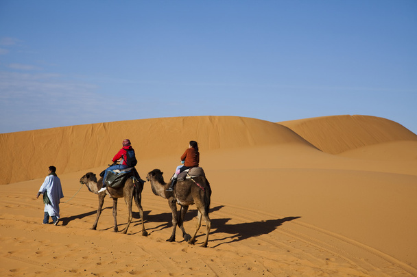 モロッコの砂漠の砂丘 - 写真・画像