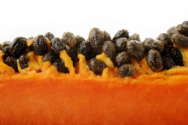 close up of Papaya seed - Fotografie, Obrázek