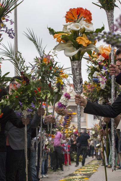 Традиционное религиозное шествие цветочных факелов
 - Фото, изображение