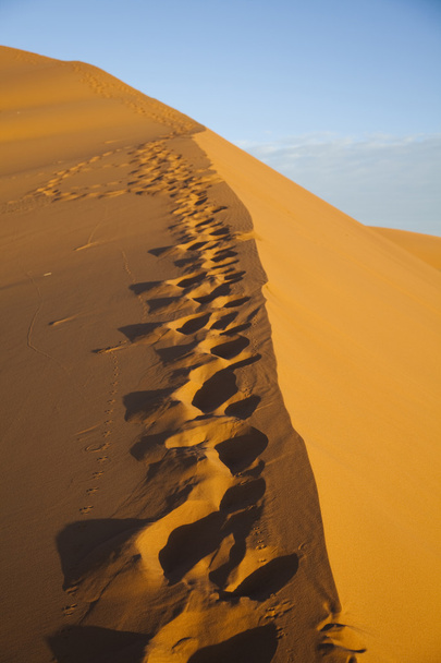 Sand Desert with Dunes in Marocco, merzouga - Photo, Image