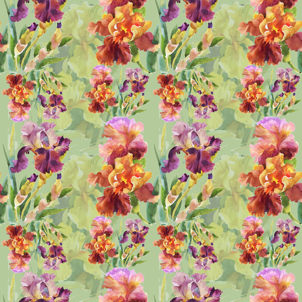 summer garden iris flowers - Foto, Bild