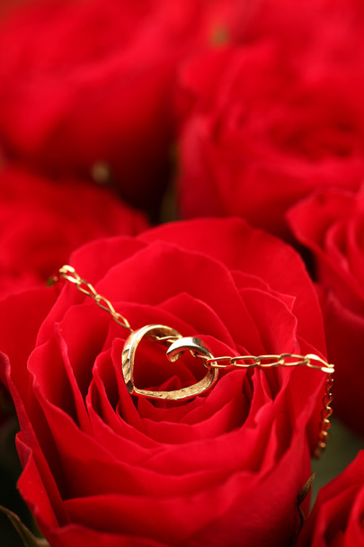 Gold necklace with heart on red rose - Foto, Bild