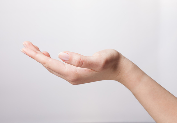 Открыть ладонь жест женской руки. Изолированный на белом бэкгре
 - Фото, изображение