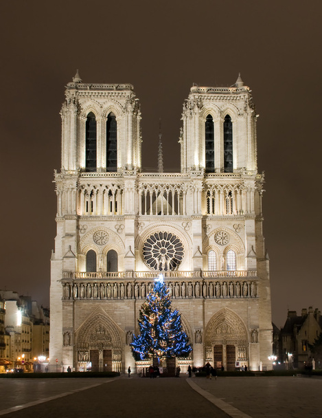 Notre Dame de Paris Noel önce - Fotoğraf, Görsel
