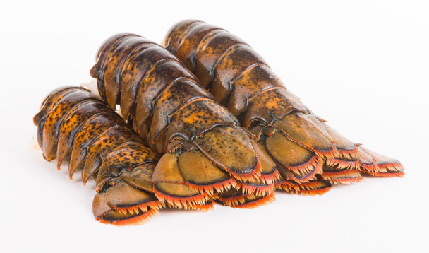caudas de lagosta
 - Foto, Imagem