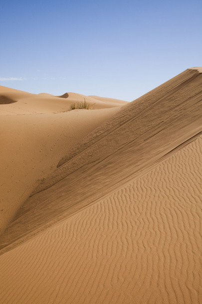 Марокканської пустелі dune, merzouga - Фото, зображення