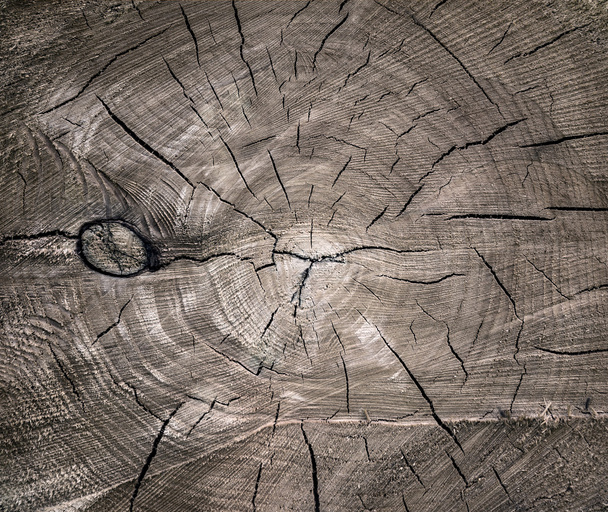 textuur van oud hout  - Foto, afbeelding