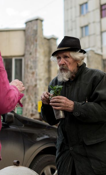 Old Man Selling Stawberry Plants - Fotó, kép