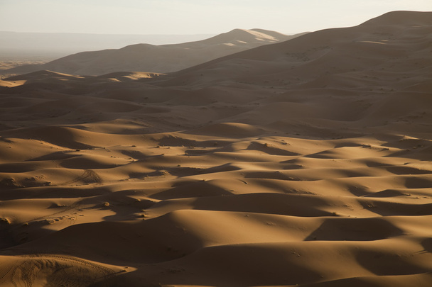 モロッコ サハラ砂漠で砂丘 - 写真・画像