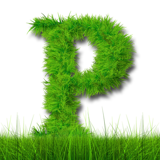 zelené trávě ekologie písmo - Fotografie, Obrázek