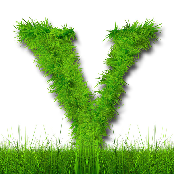 πράσινο γρασίδι οικολογία γραμματοσειρά - Φωτογραφία, εικόνα
