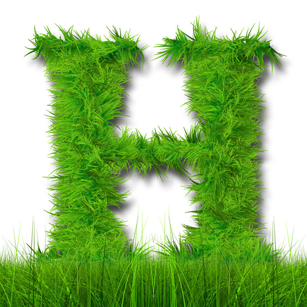 groen gras ecologie lettertype - Foto, afbeelding