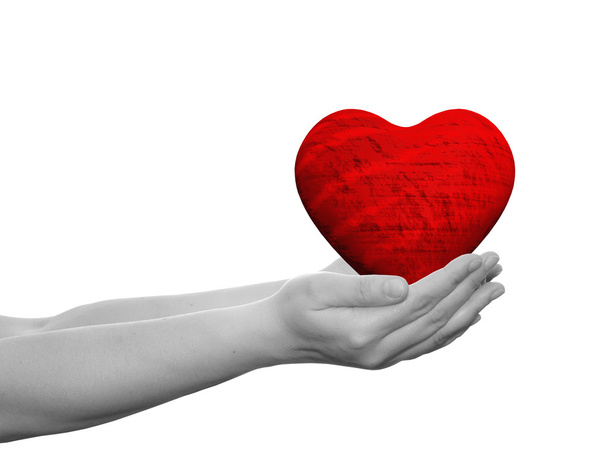 coração segurado em mãos humanas ou mulheres
 - Foto, Imagem