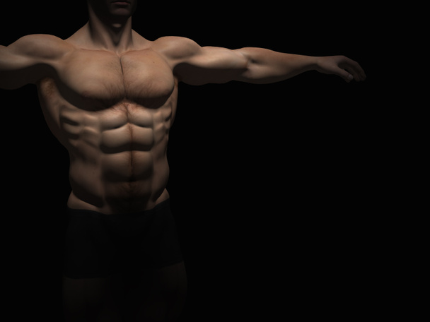 erős, fiatal férfi férfi testépítő - Fotó, kép