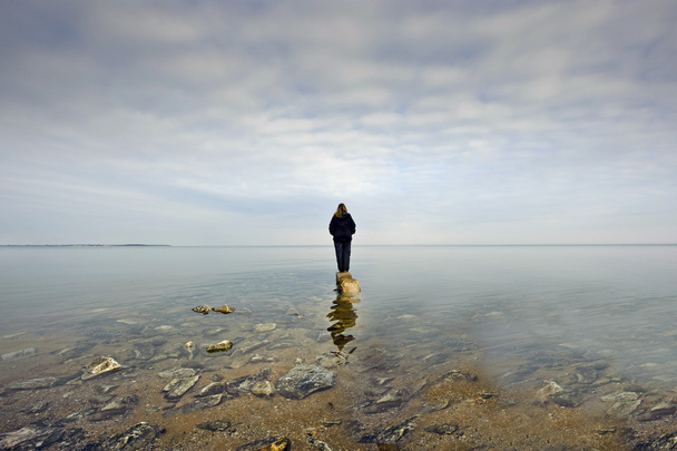 Kanadagänse auf einem Marylamd Teich - Foto, Bild