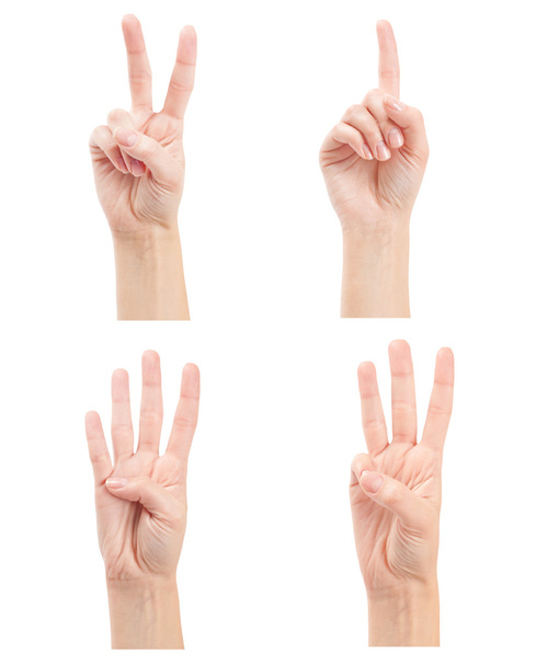 Contando manos de mujer (1 a 4
) - Foto, imagen