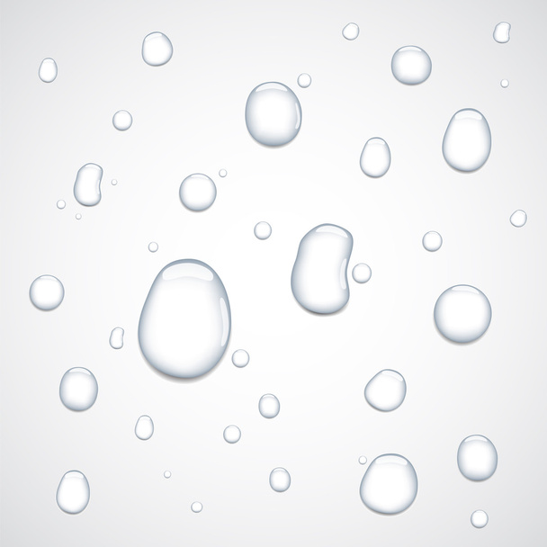 Pure clear water drops - Vector, Image