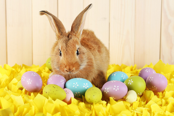 Schattige rode konijn met Pasen eieren op gele stof op houten muur achtergrond - Foto, afbeelding