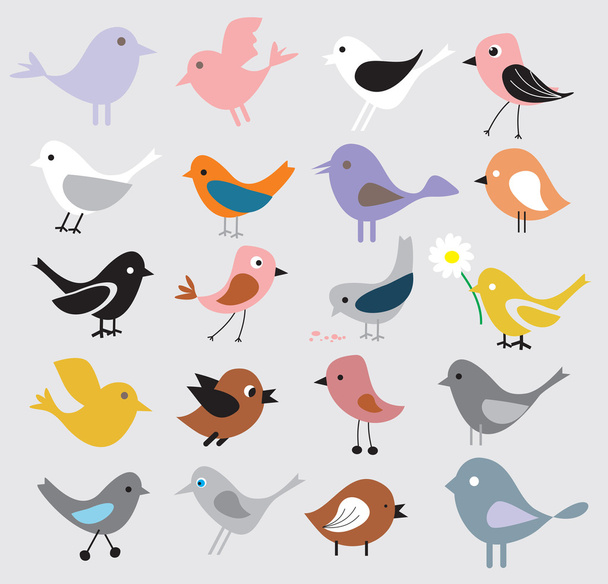 Birds background - Vettoriali, immagini