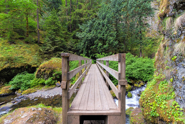 Wood Foot Bridge Over Creek in Oregon - Photo, Image