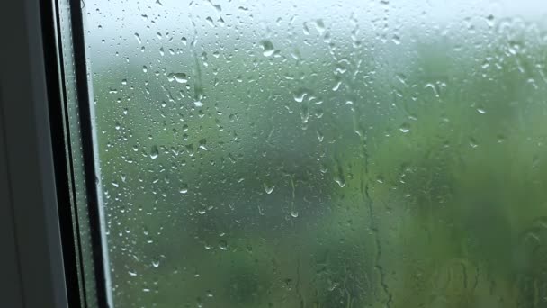regen op glas - Video