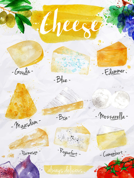 Plakát sýr - Vektor, obrázek