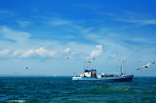 rybářský člun a racky - Fotografie, Obrázek