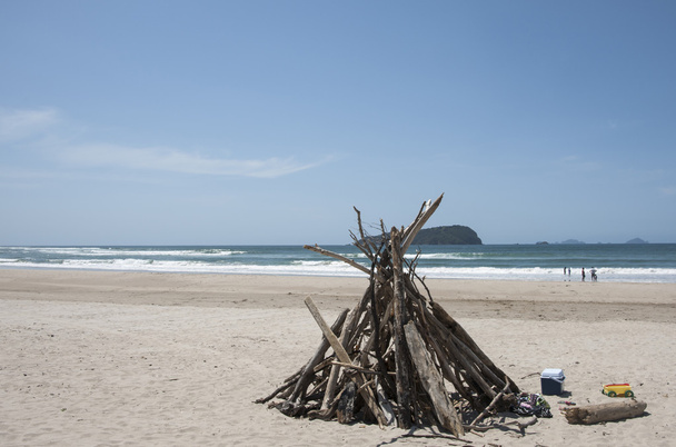 Abri en bois flotté en forme de tipi sur la plage
 - Photo, image