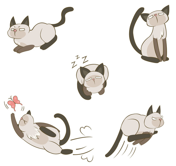 Gato siamés en varios icono de acción y expresión, crear por vector de dibujos animados
 - Vector, imagen