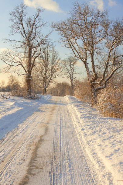 Winter landscape - Фото, зображення