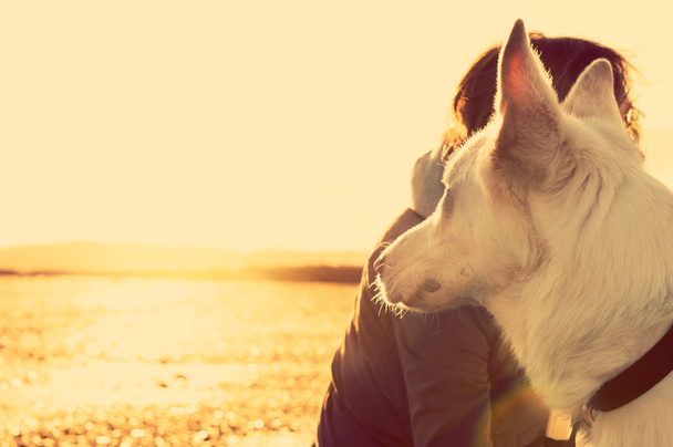 Hipster girl playing with dog at a beach during sunset, strong lens flare effect - Fotoğraf, Görsel