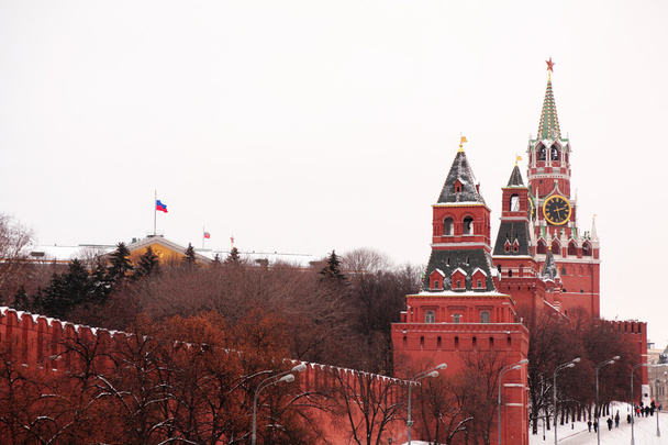 u kremelské zdi v Moskvě v zimě - Fotografie, Obrázek