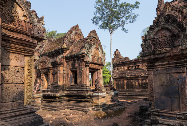 Banteai スレイ, シェムリ アップ, カンボジア - 写真・画像