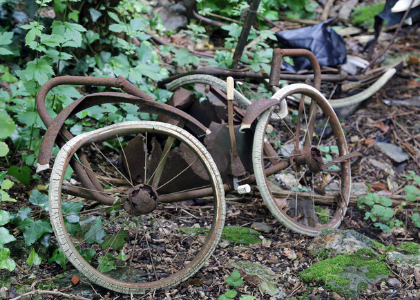 velho carrinho enferrujado para recém-nascidos abandonados na floresta
 - Foto, Imagem