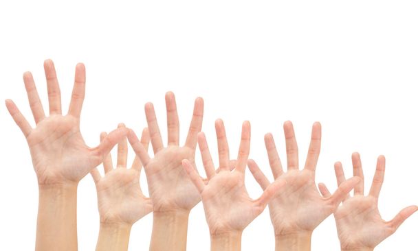 Группа рук в воздухе
 - Фото, изображение